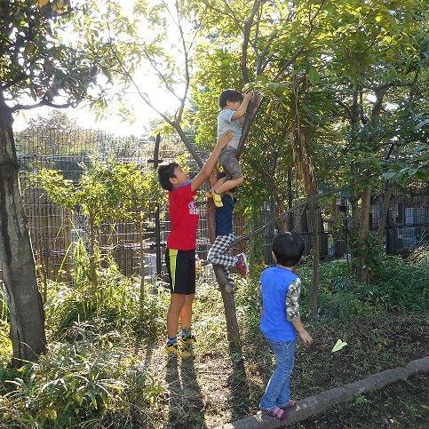 夢発見！草っパラダイス