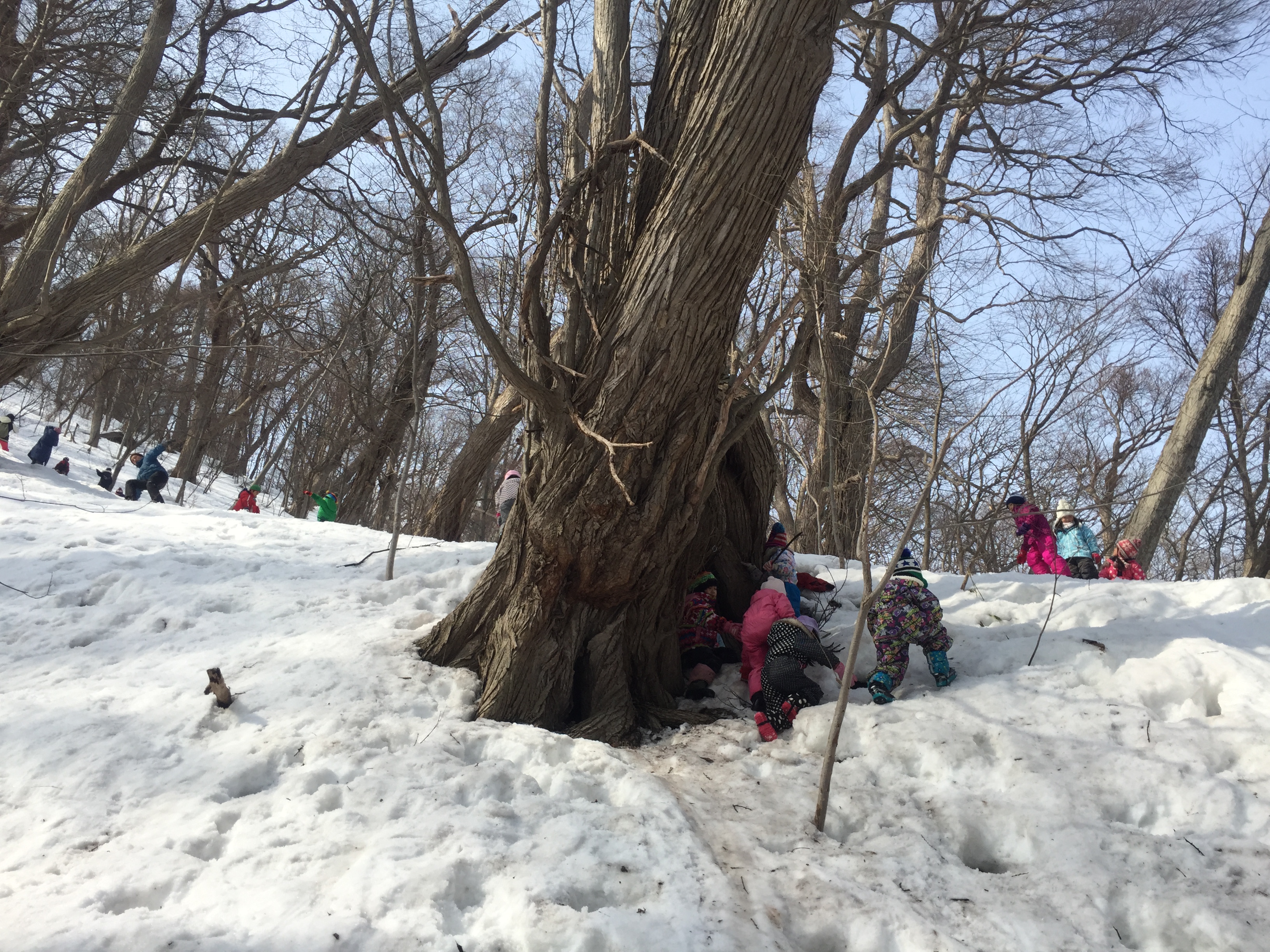 ちょこっとプレーパーク in 円山公園