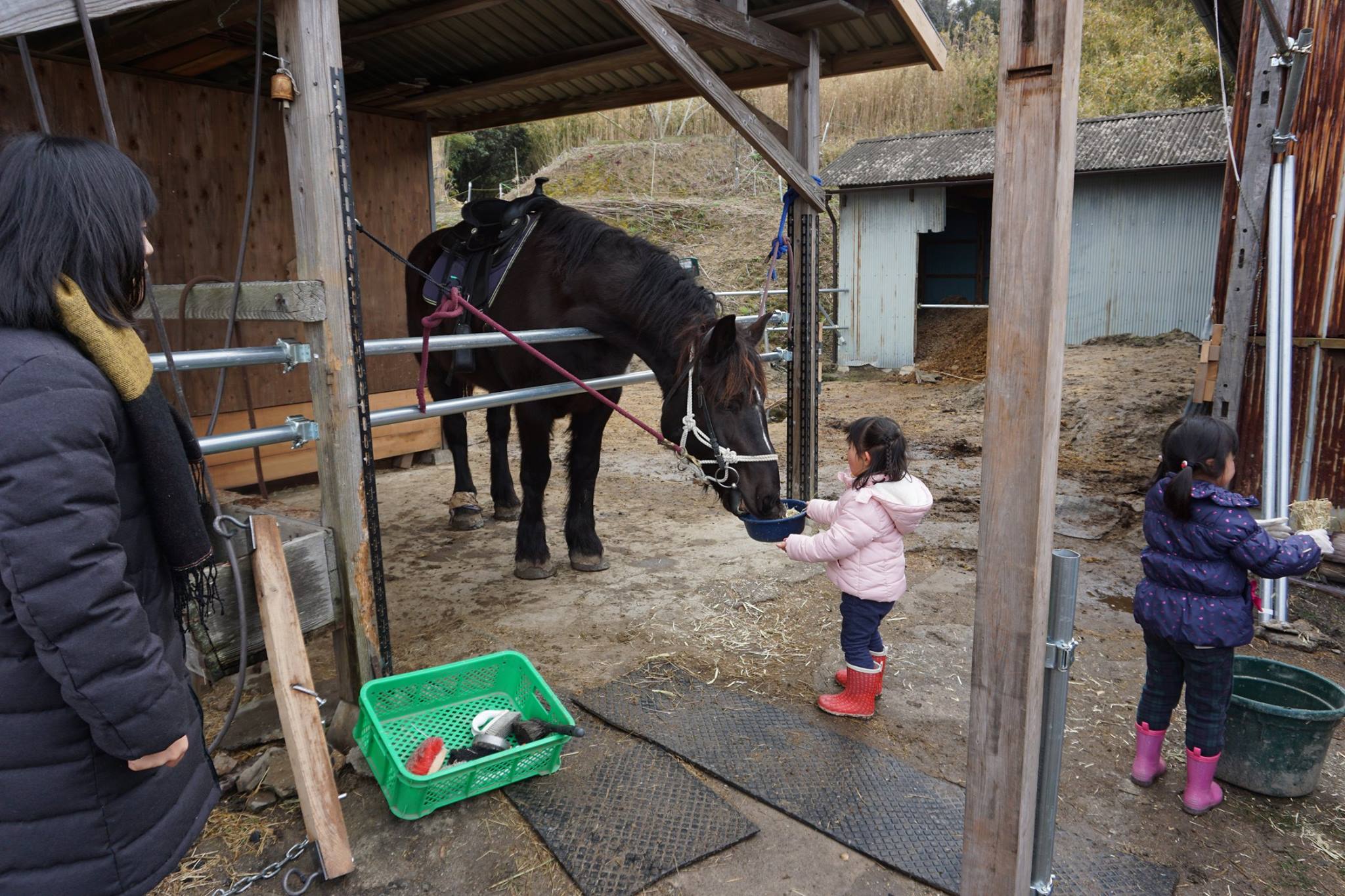 子どもの冒険ひろばプレーパーク「yosugaの森」