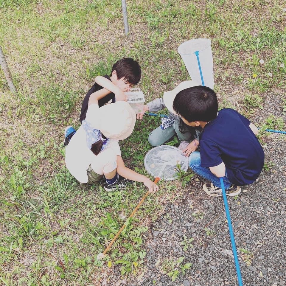 外遊びプロジェクト　てのひら