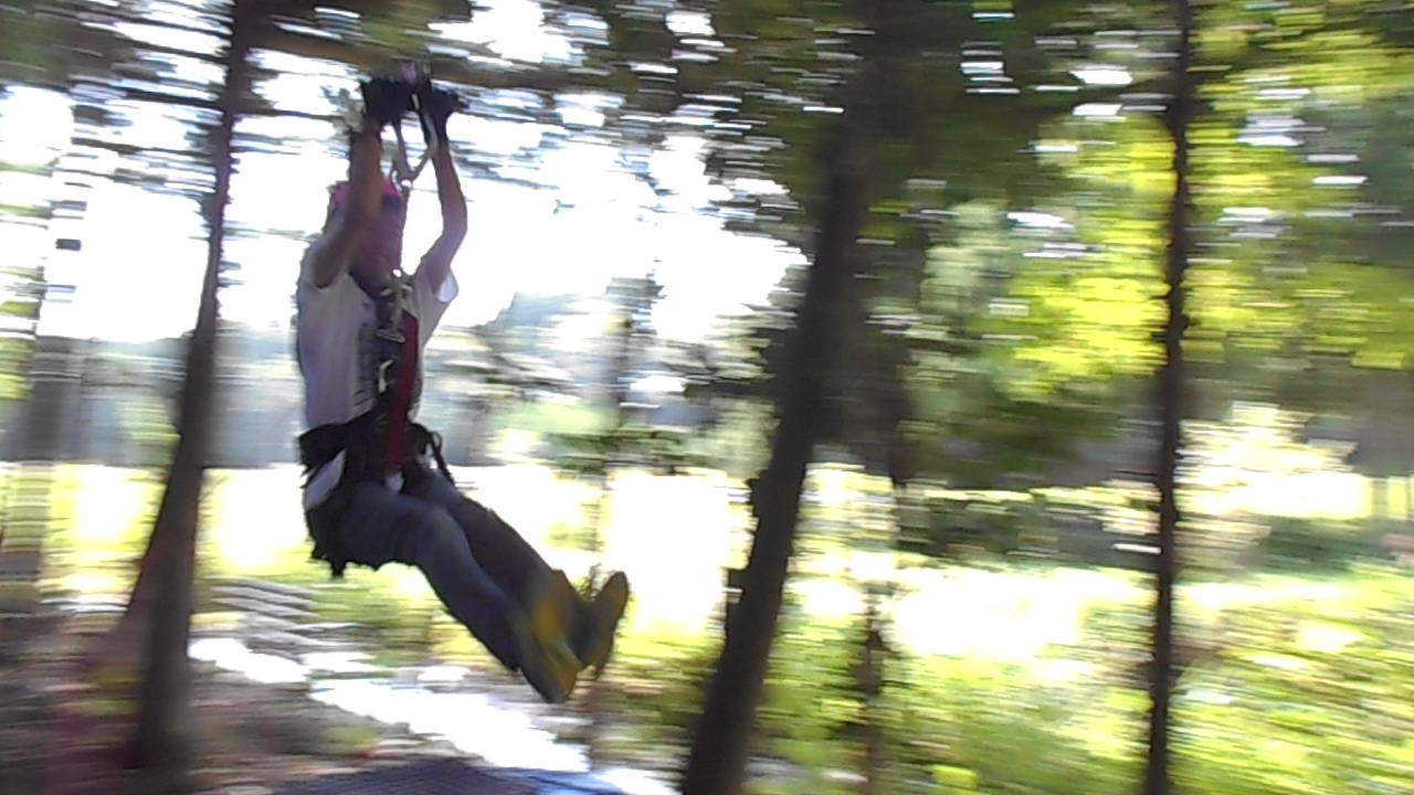 小高やどりぎ。