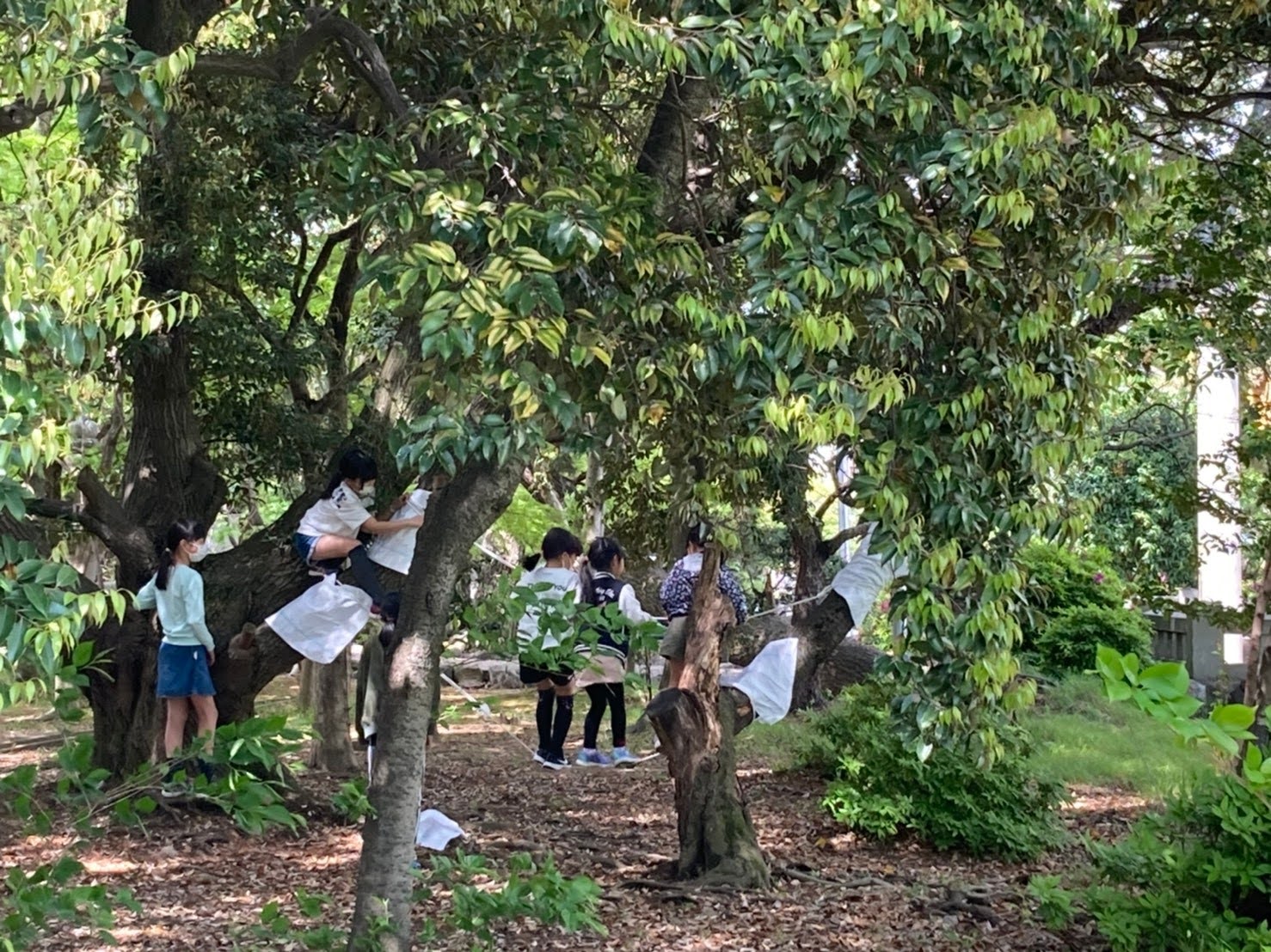 へきなんプレーパーク