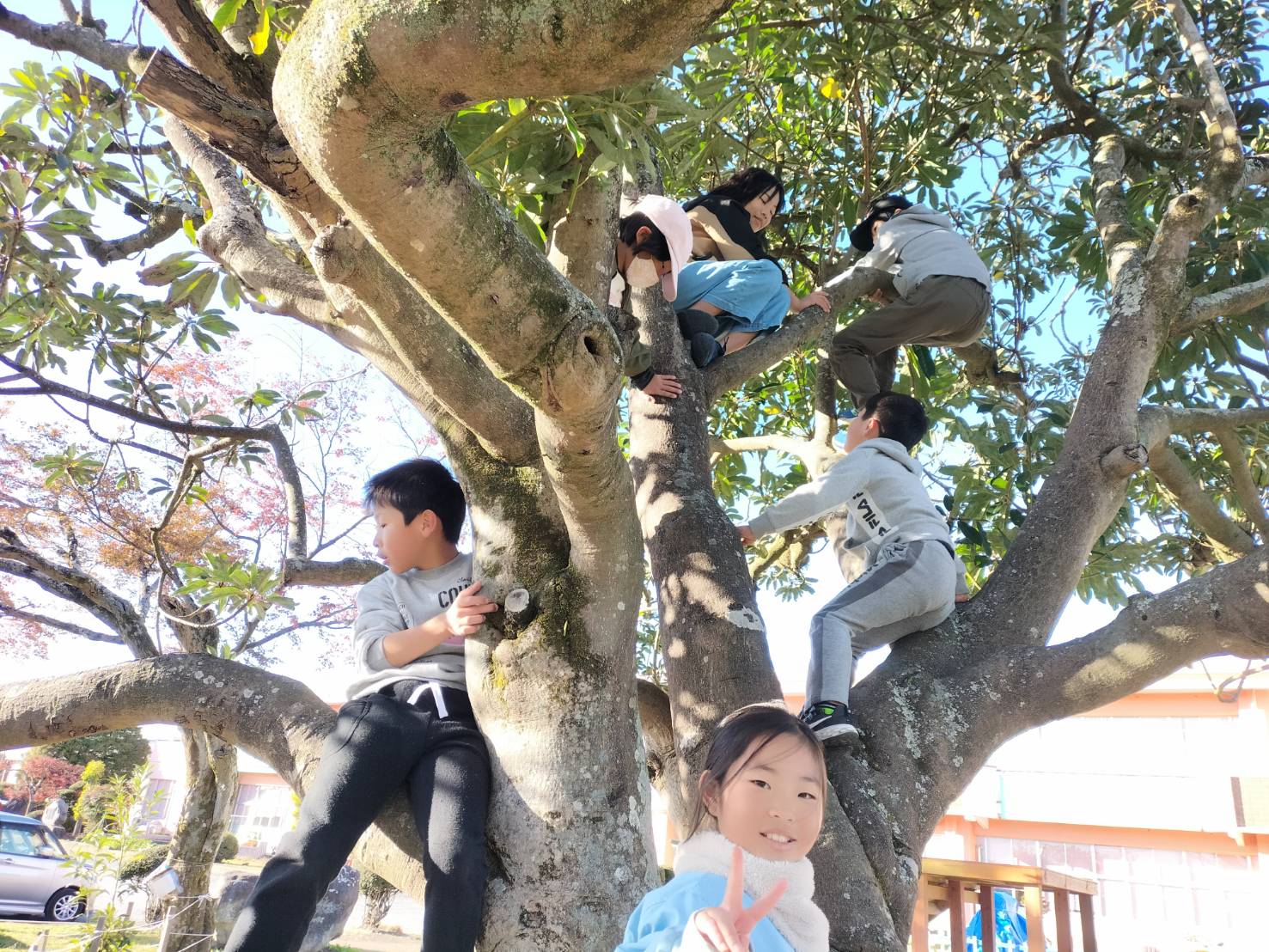 プレーパークしもたか