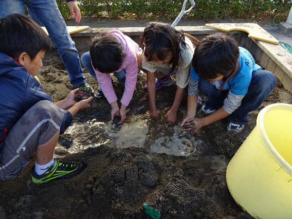 ひらこま はらっぱ