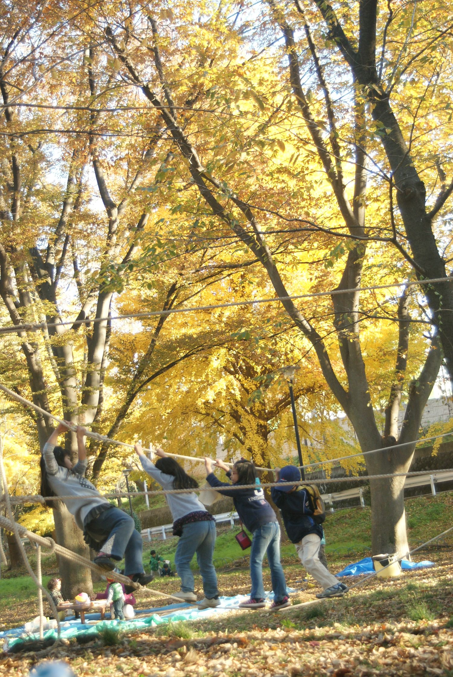 桐ヶ丘プレーパーク