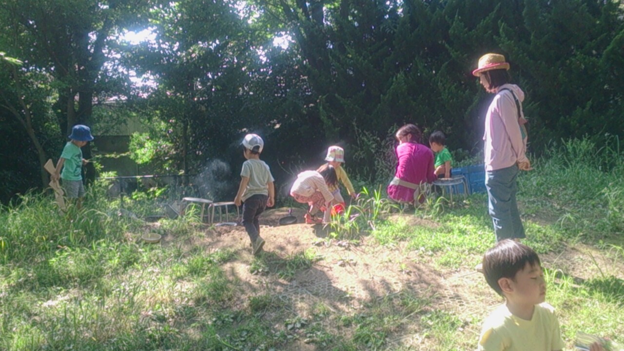 とことん遊ぼう