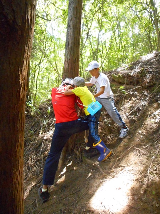 ひと山まるごとプレイパーク