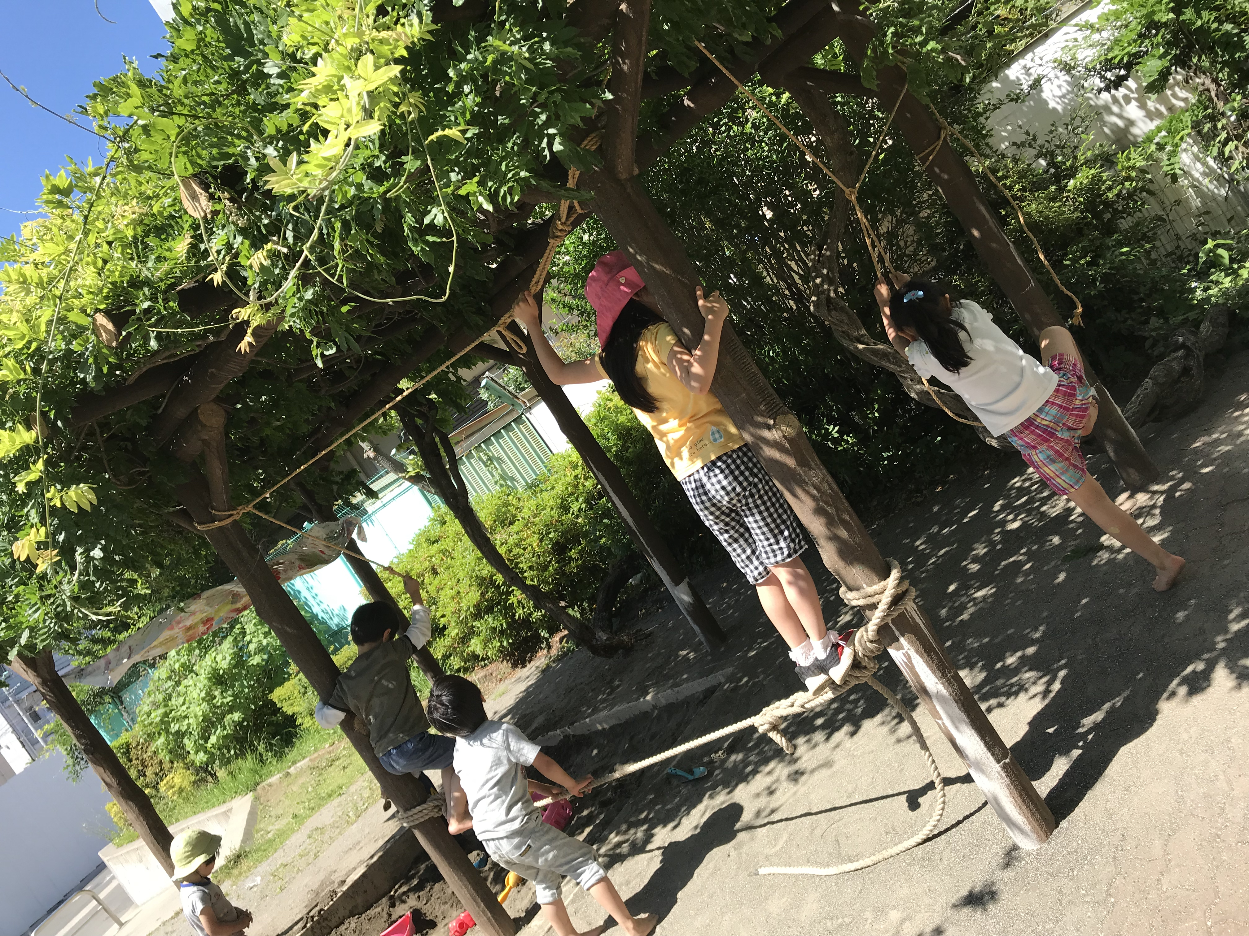 ぞうしがやプレーパーク