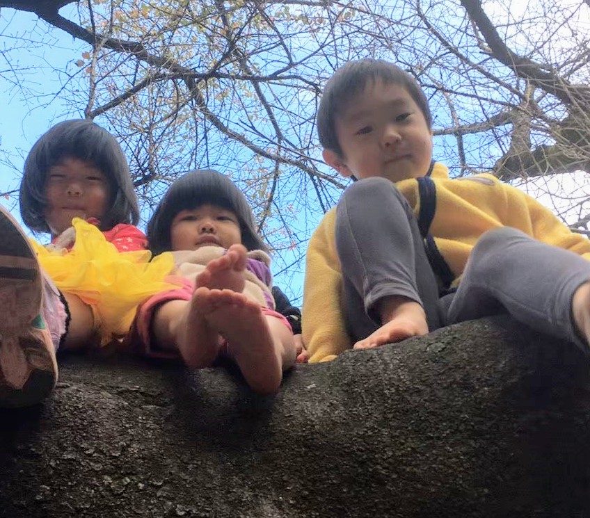 コロボックルの森