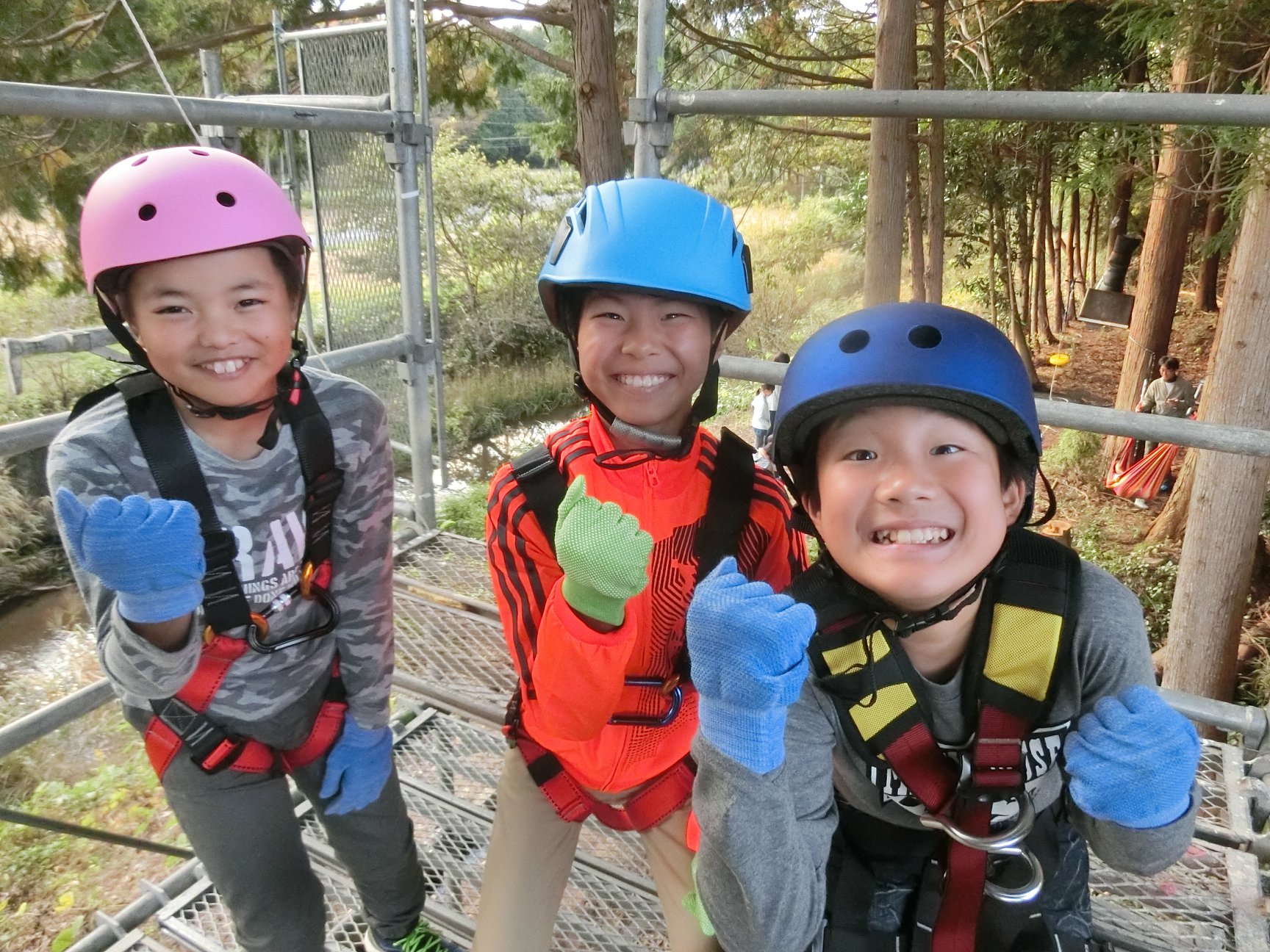 小高やどりぎ。