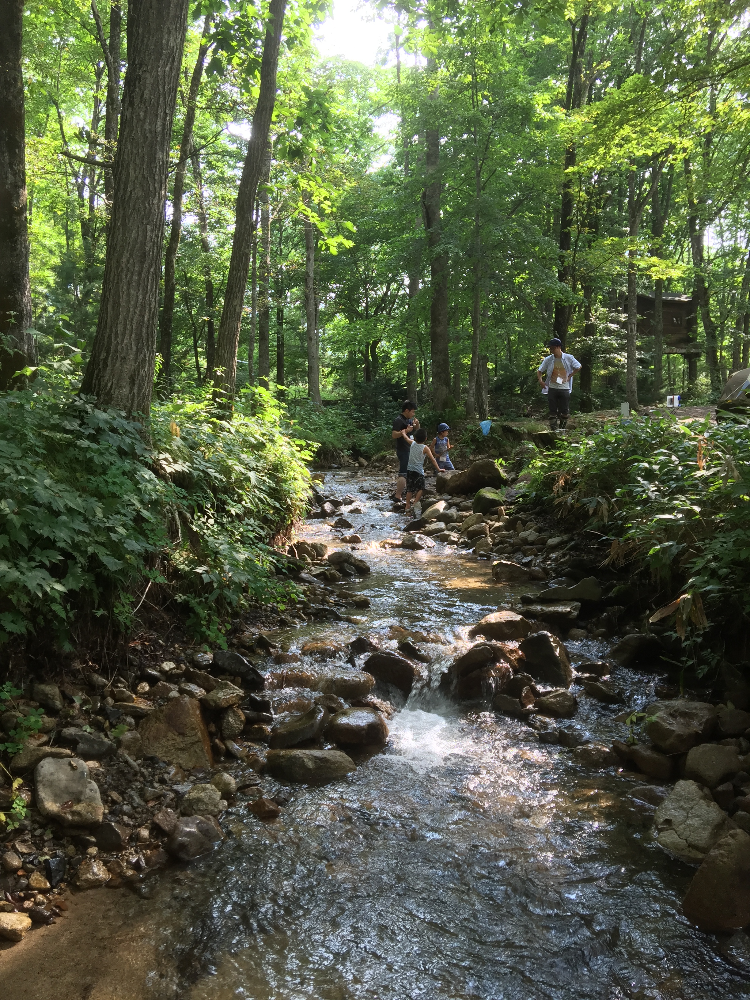 冒険遊び場Saiパーク