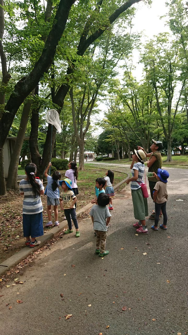 コロボックルの森