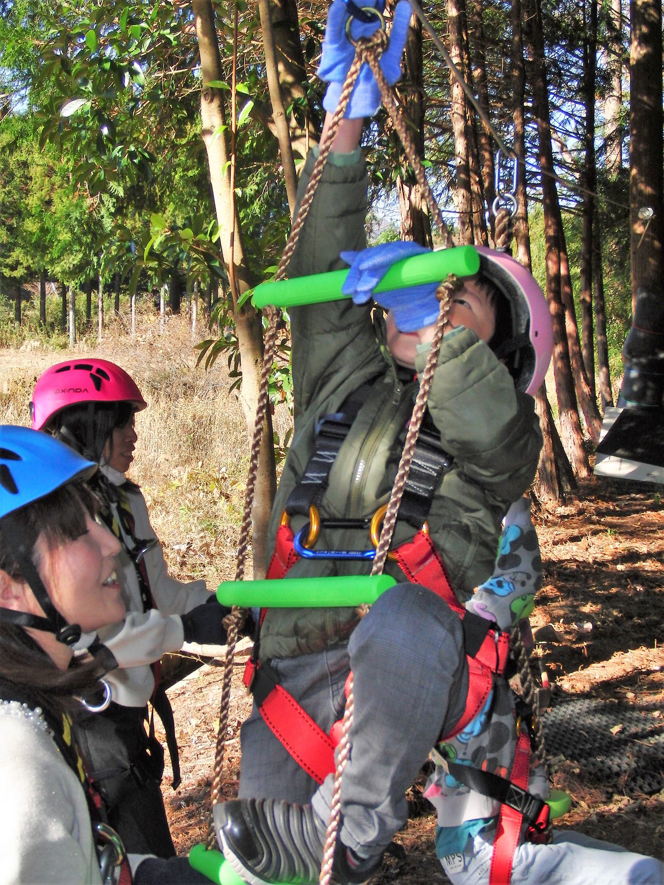 小高やどりぎ。