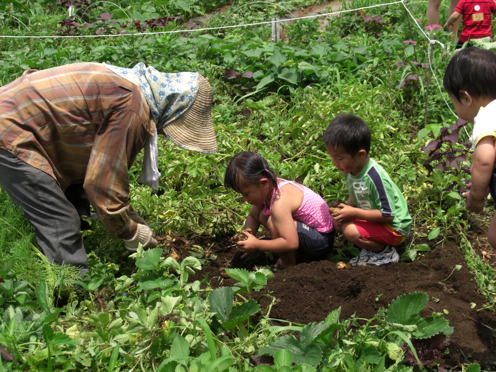 片倉うさぎ山プレイパーク