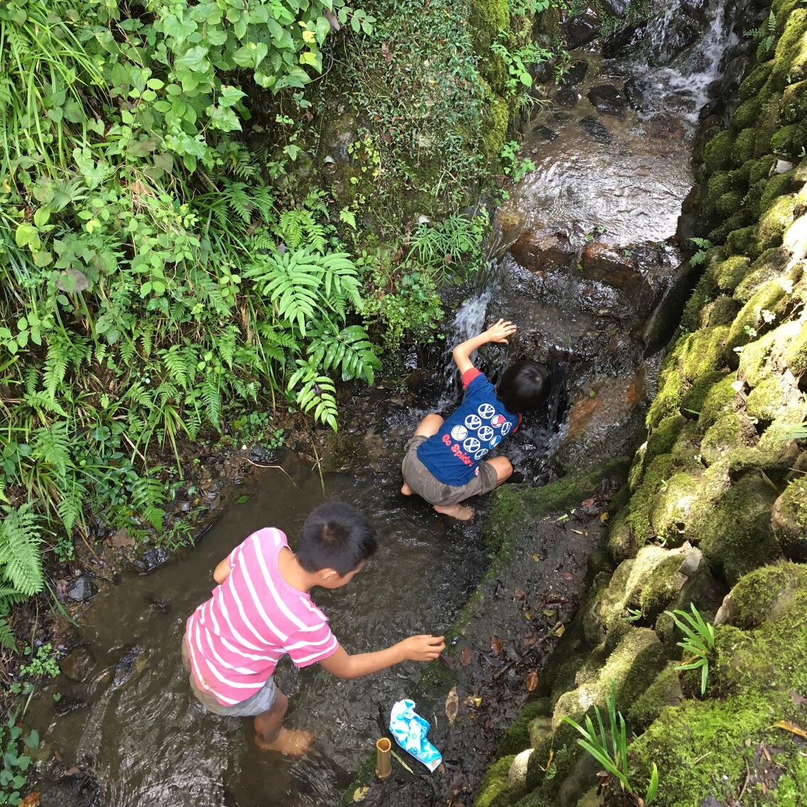 青梅のプレーパーク 森もり♪あそぶ