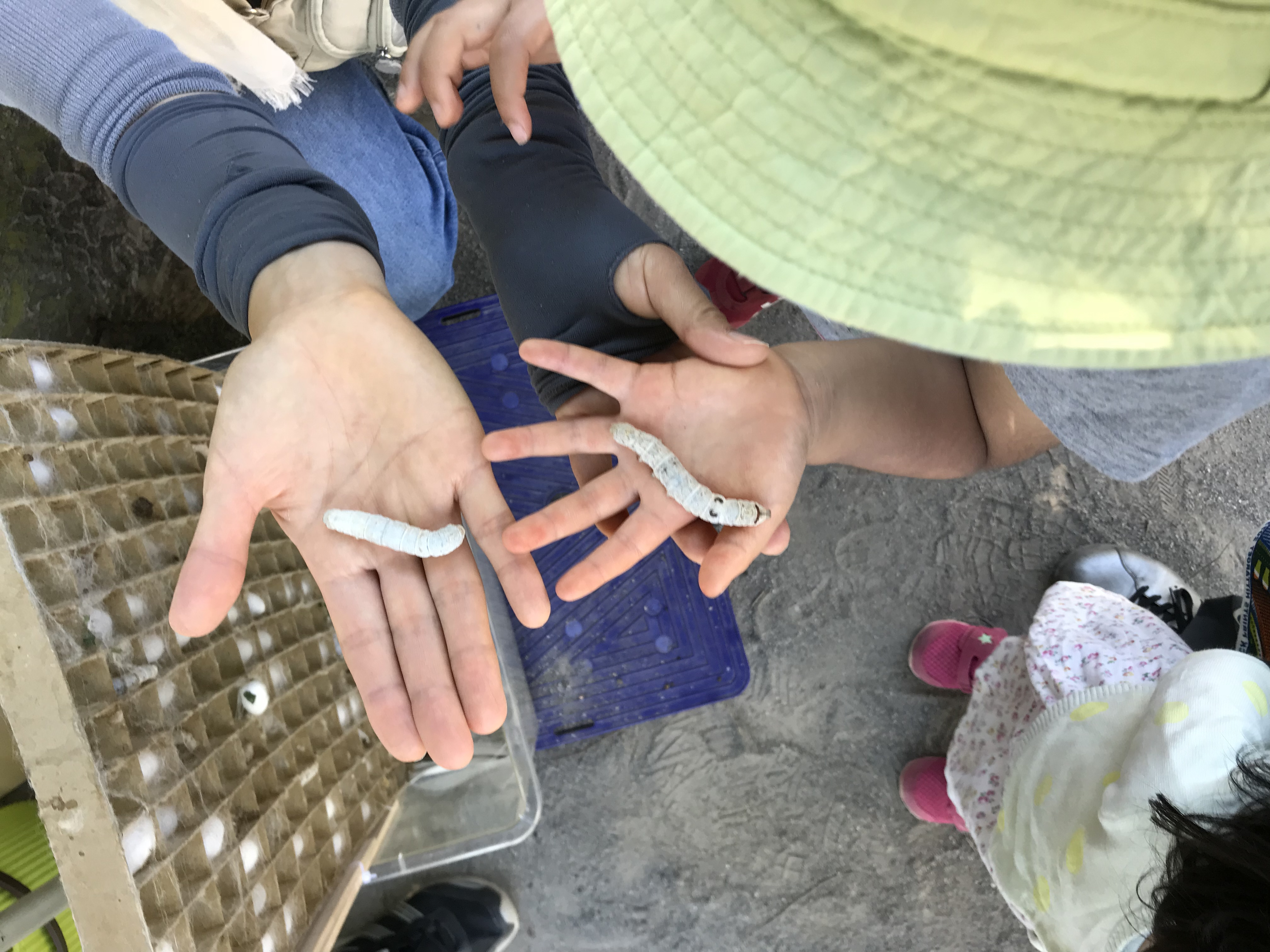 ぞうしがやプレーパーク