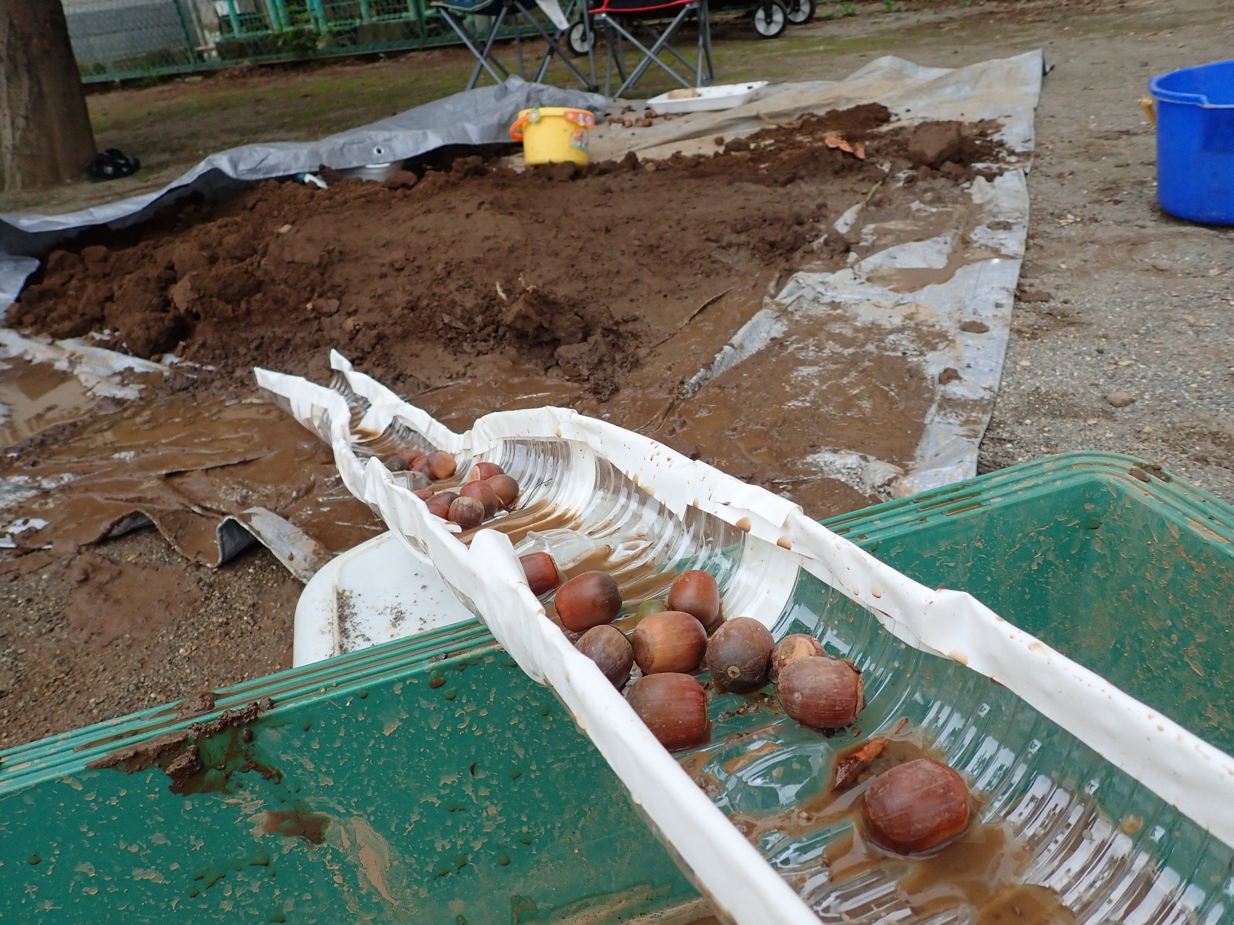  東大宮こびと3丁目