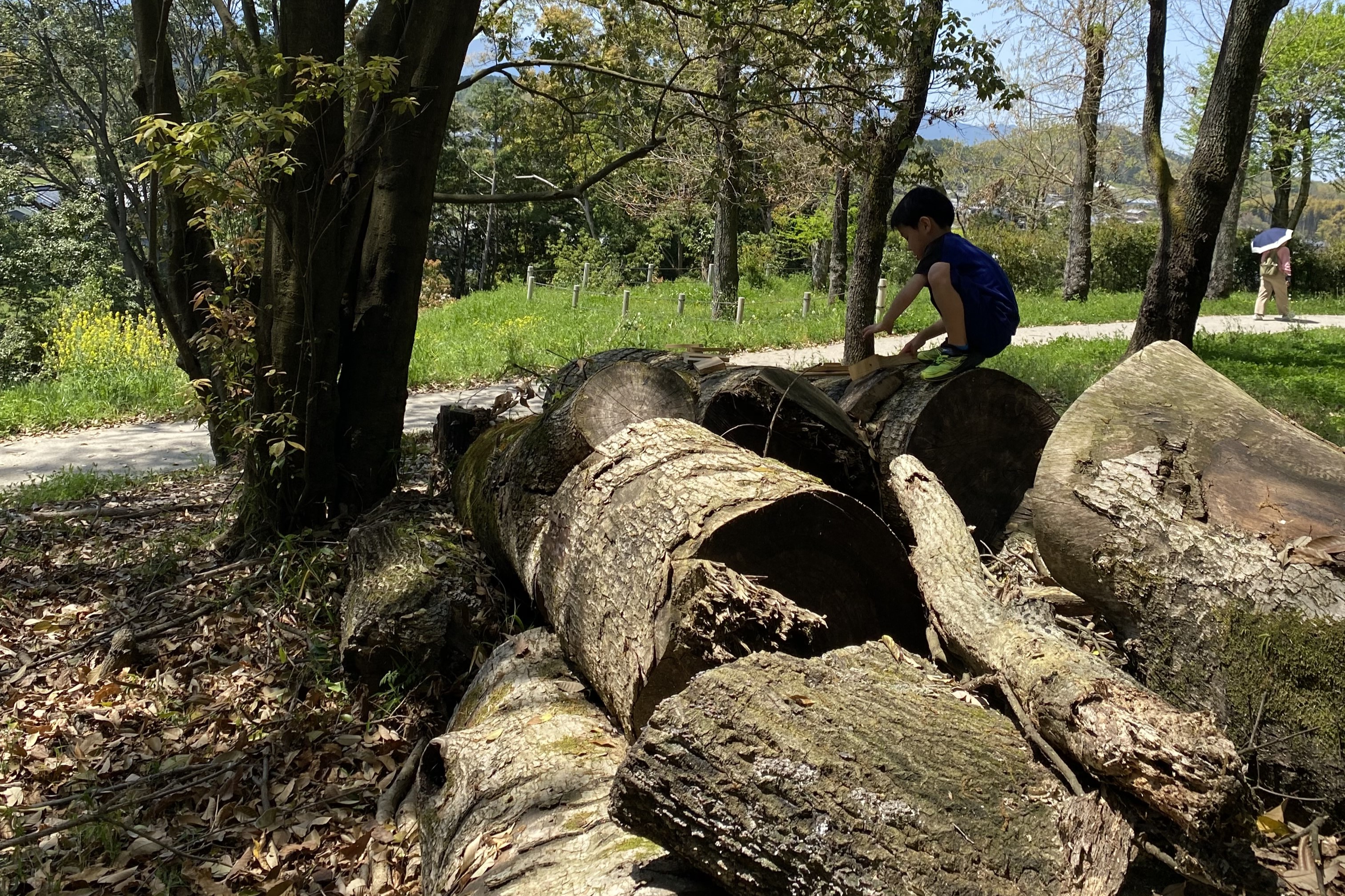 コフンでプレパ