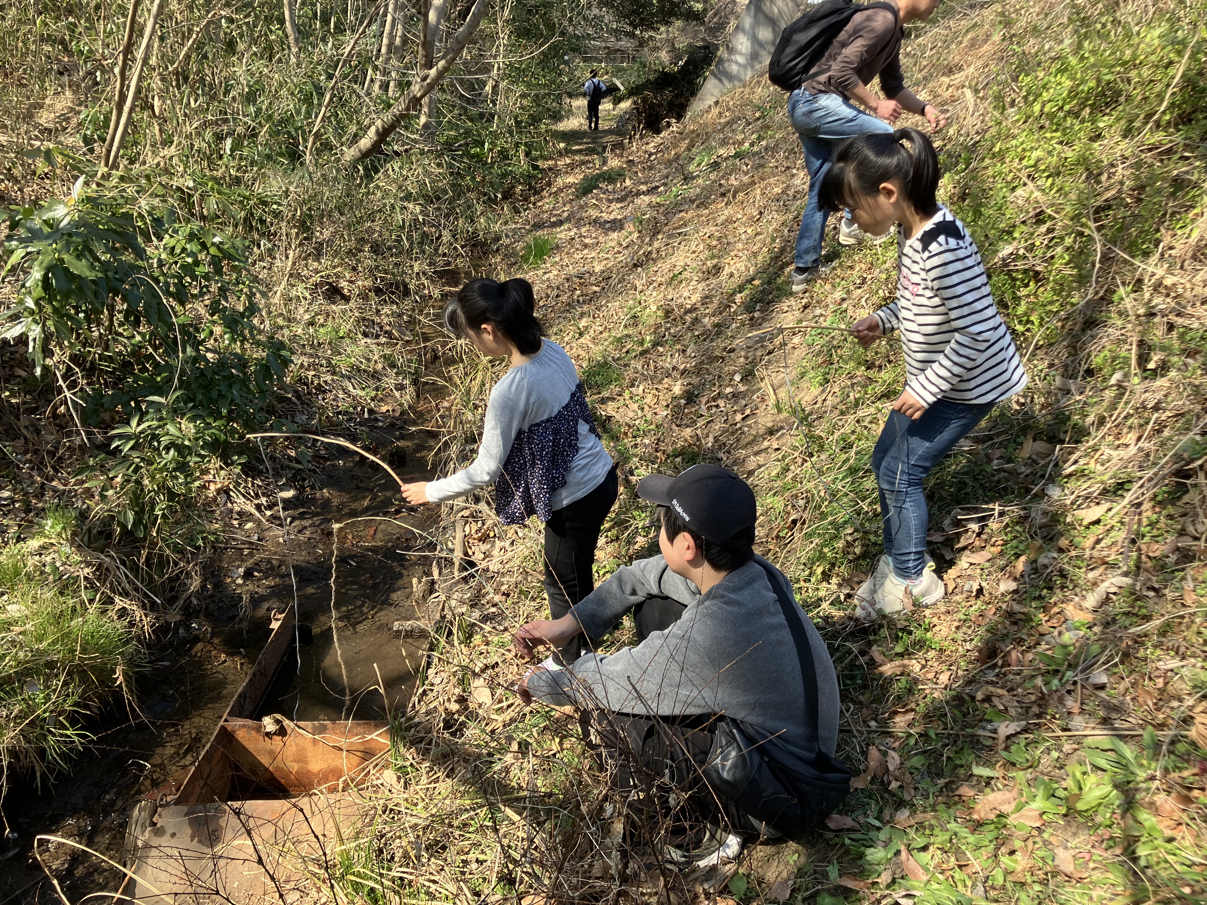 いろはプレーパーク