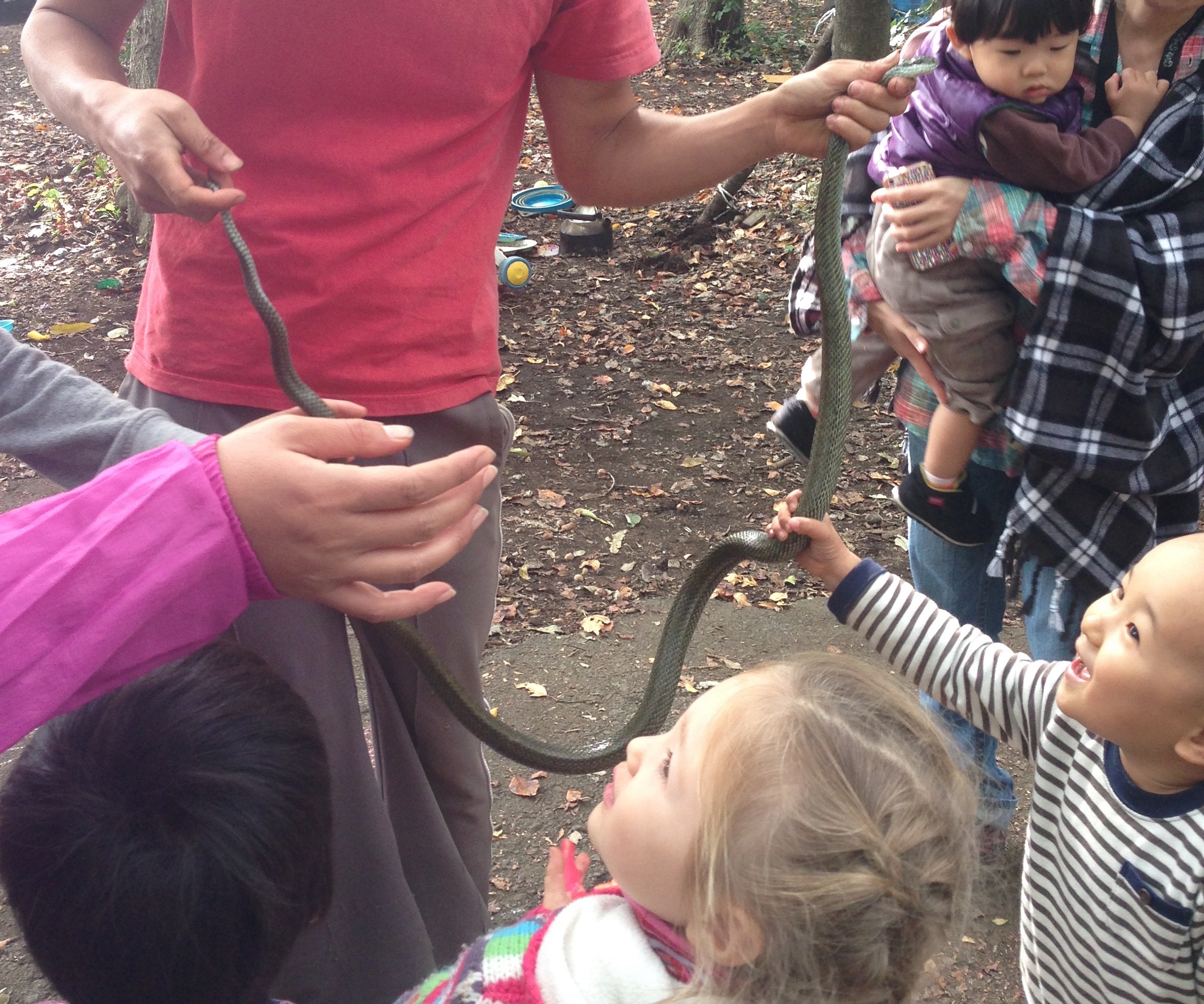 銀河の森プレイパーク