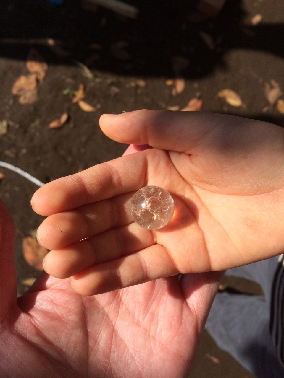 どんぐり山プレーパーク