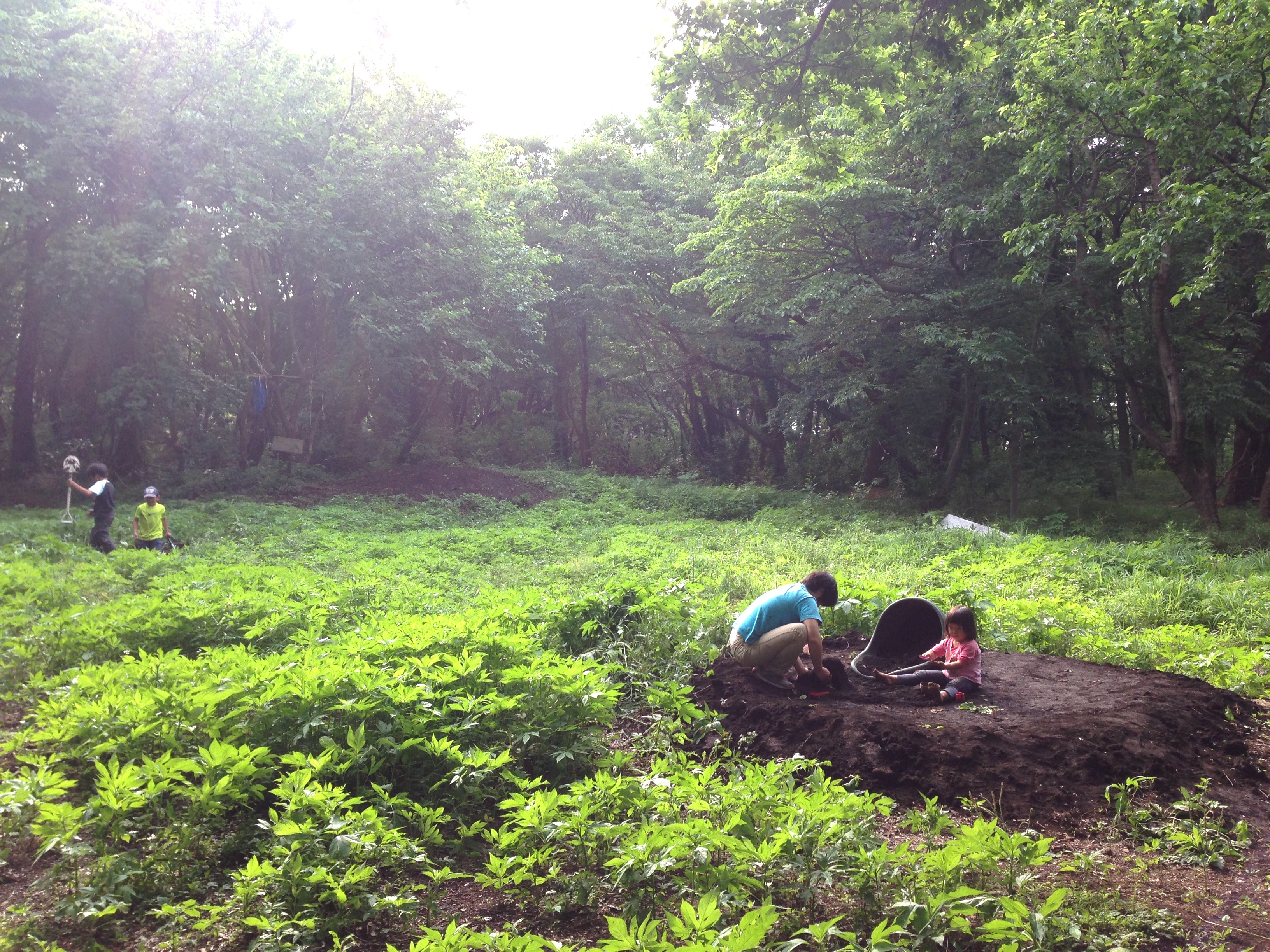 銀河の森プレイパーク