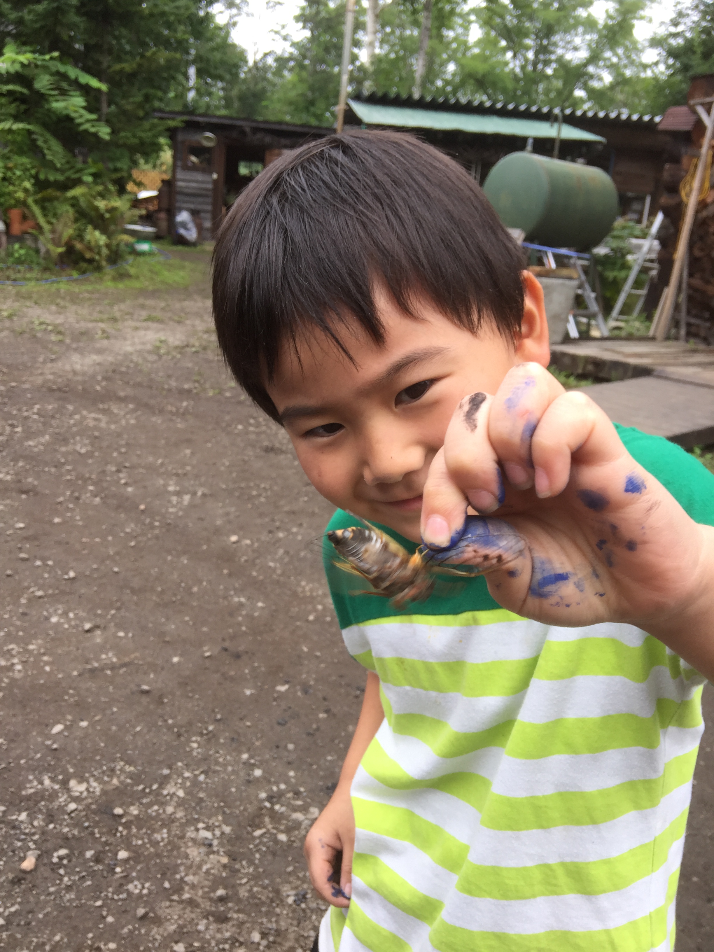 冒険遊び場Saiパーク