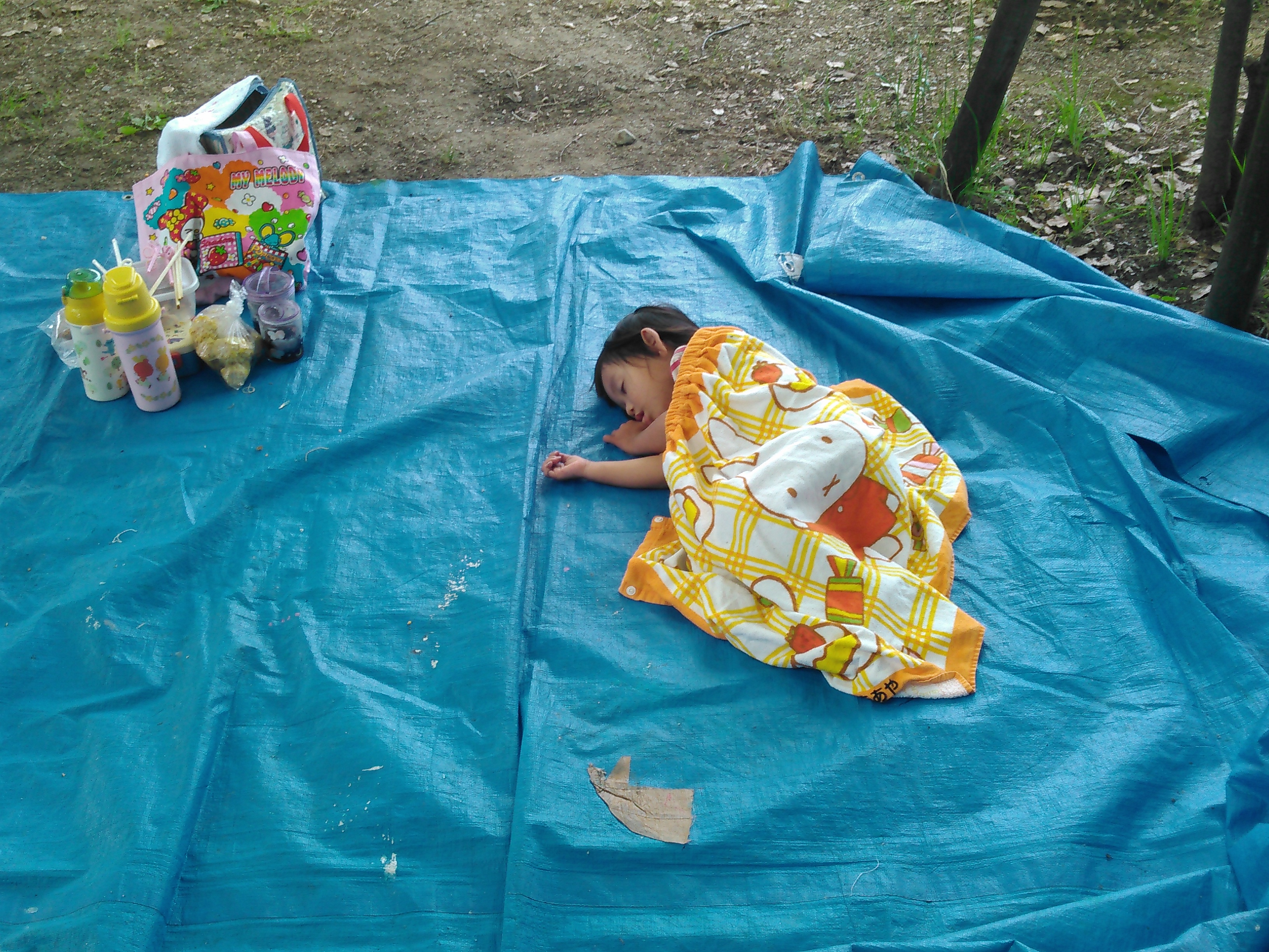 よさみプレーパーク