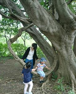古河ころりんプレーパーク
