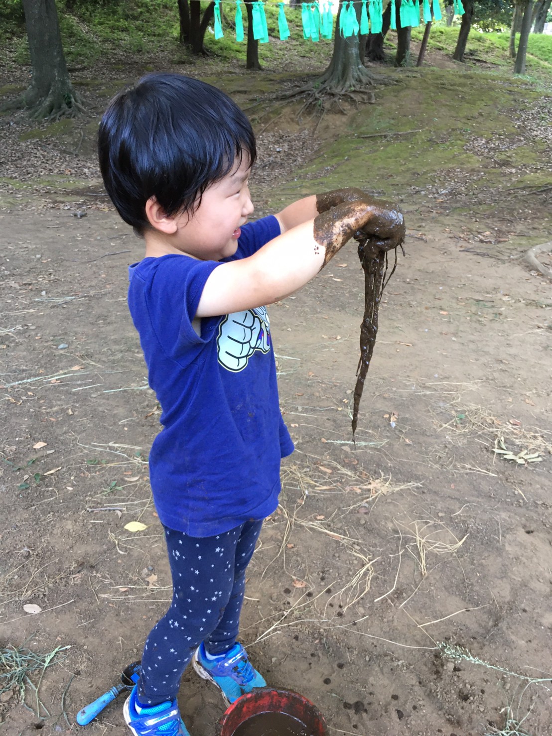 コロボックルの森