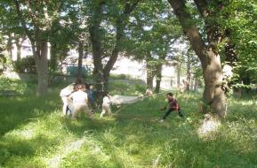 桐ヶ丘プレーパーク