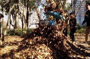 西新宿冒険あそび・わんぱーく