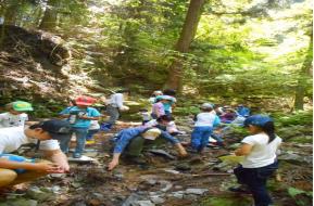 ひと山まるごとプレイパーク