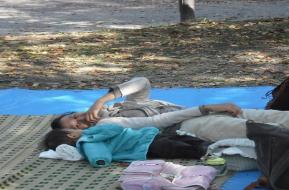 まめっこパーク