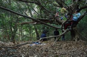 おおむら里山村プレーパーク