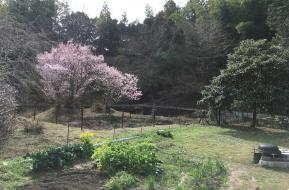 mitoso pp(ミトソプレイパーク)